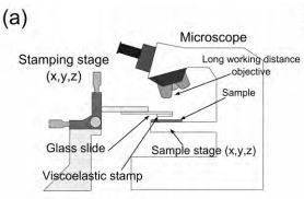 A | Supporting Information Available | Gel-Pak®