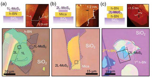 Steps | Placing a few-layer graphene flake onto a hexagonal boron nitride flake | Gel-Pak®