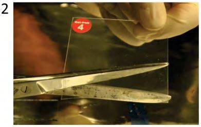 Step 2 | Preparation of the viscoelastic stamp (1) | Gel-Pak®