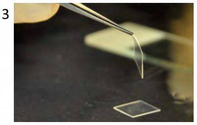 Step 3 | Preparation of the viscoelastic stamp (2) | Gel-Pak®