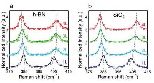 Raman characterization of the transferred and directly exfoliated flakes | Raman spectra of transfer samples | Gel-Pak®