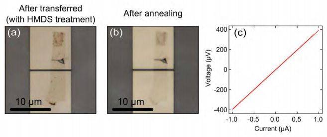  (a) Optical microscope image of two terminal graphene device before annealing | (b) After annealing to remove the HMDS and improve the contact | c) I-V characteristics taken at room temperature indicating two terminal resistance to be 400 Ohm | Transfer onto pre-defined circuits | Gel-Pak®