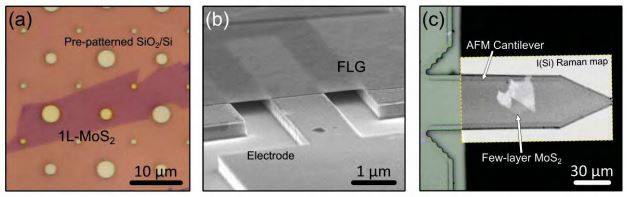 Steps | Artificial heterostructures | Gel-Pak®