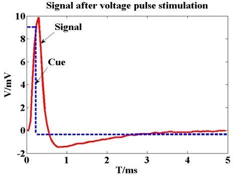 Epidural pulse voltage stimulus can be transferred effectively to cortical tissue | Graph | Gel-Pak®