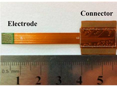 Electrode + Connector | Wireless Microcoil Array | Gel-Pak®