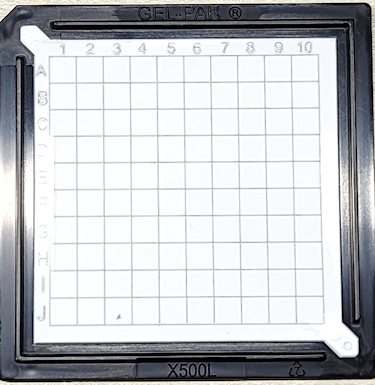 White WPX with Grid