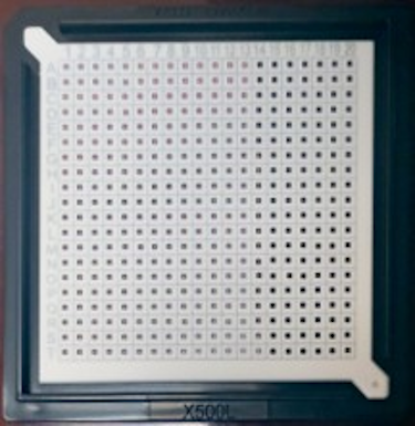 White WPX loaded with Small Die